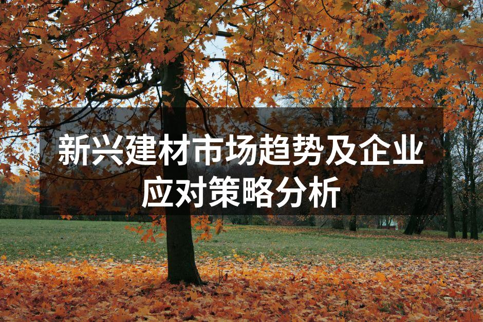 新兴建材市场趋势及企业应对策略分析