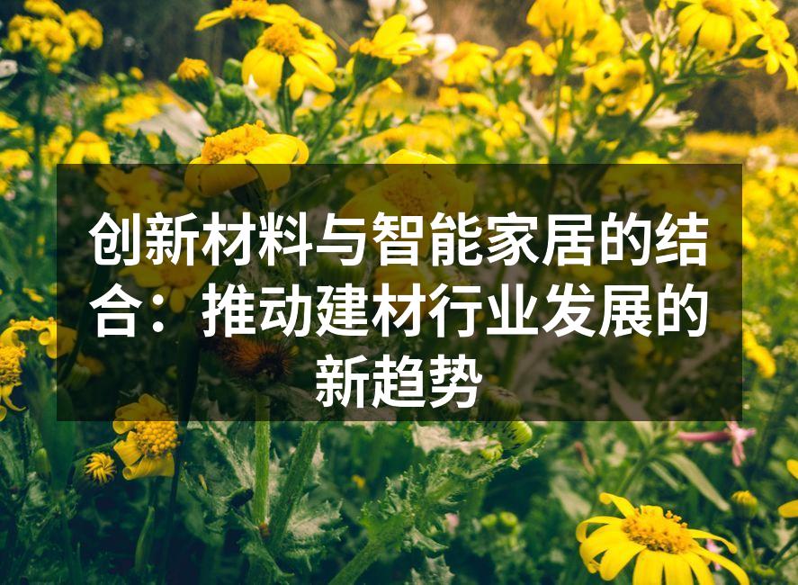 创新材料与智能家居的结合：推动建材行业发展的新趋势