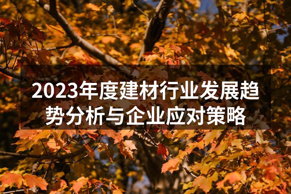 2023年度建材行业发展趋势分析与企业应对策略